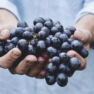 Grapes