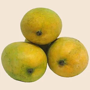 Himsagar